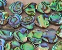 Abalone