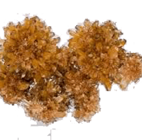 Creedite
