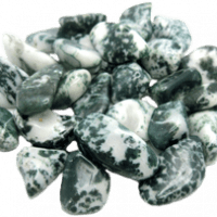 Agate « tree »