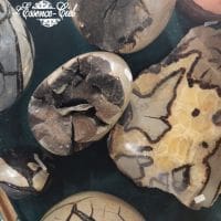 Septaria