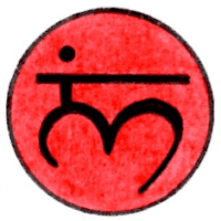 Purification & Reprogrammation : Le Chakra Racine